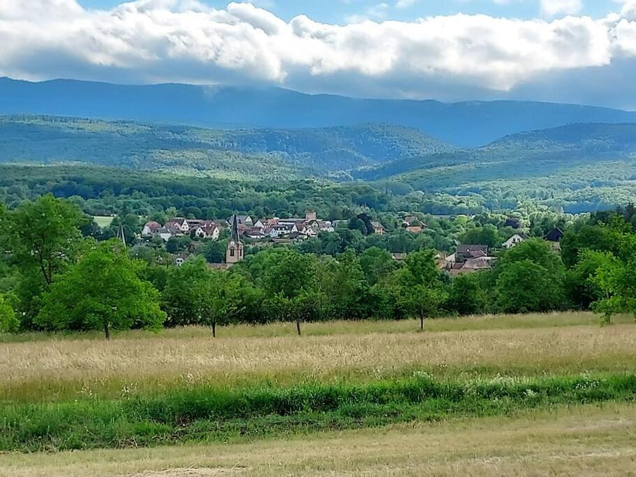 Appartamento Chez Rozenn Et Mewen Romanswiller Esterno foto