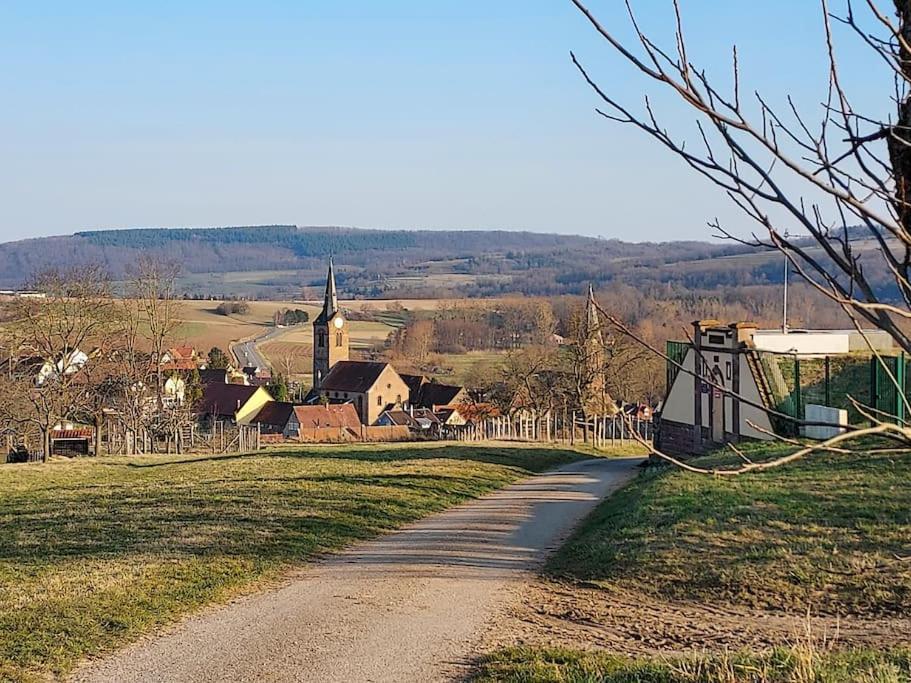 Appartamento Chez Rozenn Et Mewen Romanswiller Esterno foto