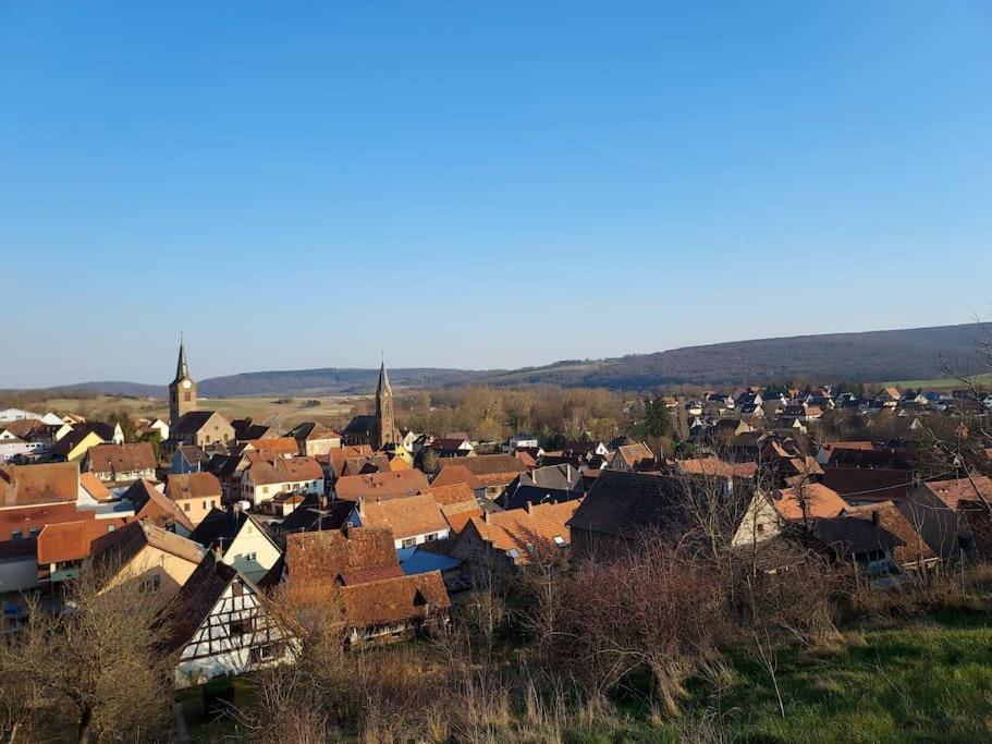 Appartamento Chez Rozenn Et Mewen Romanswiller Esterno foto